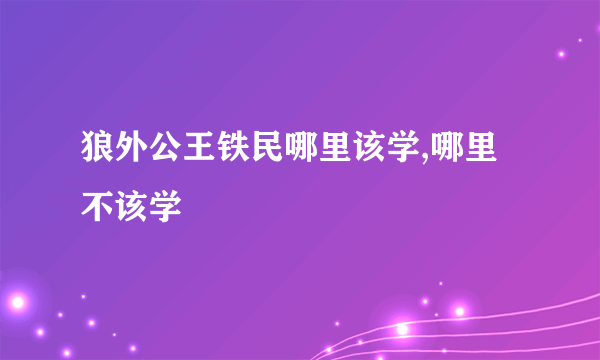 狼外公王铁民哪里该学,哪里不该学