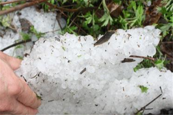 北京门头沟灵山飘雪花，这个季节下雪是什么感觉的？