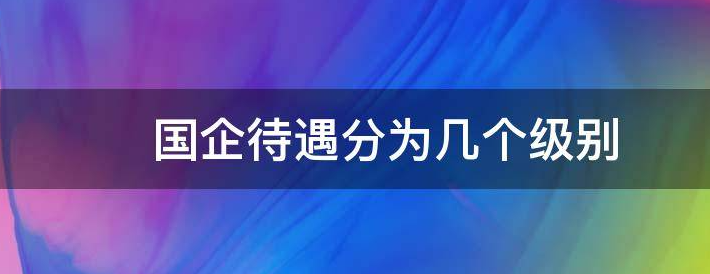 国企待遇分为几个级别