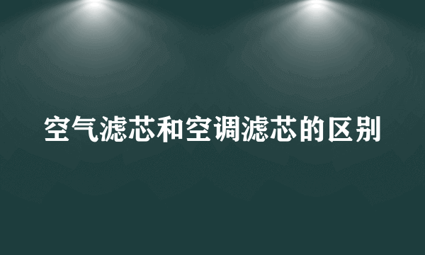 空气滤芯和空调滤芯的区别