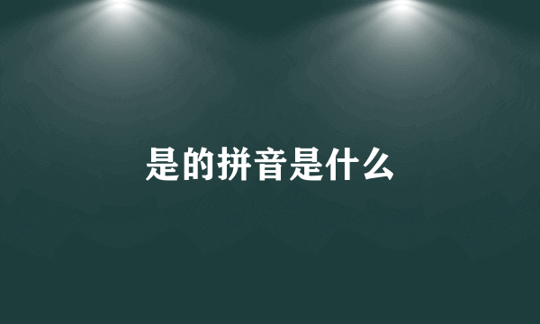 是的拼音是什么