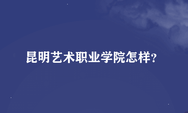 昆明艺术职业学院怎样？