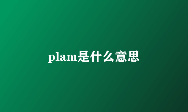 plam是什么意思