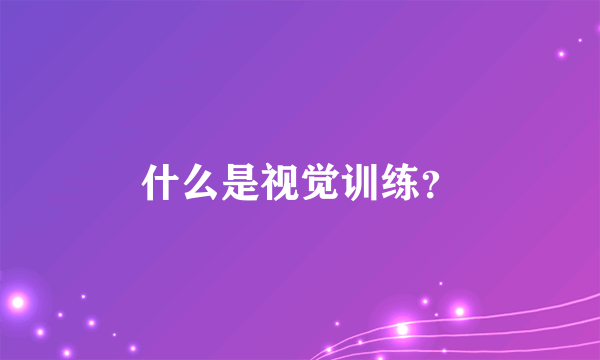 什么是视觉训练？