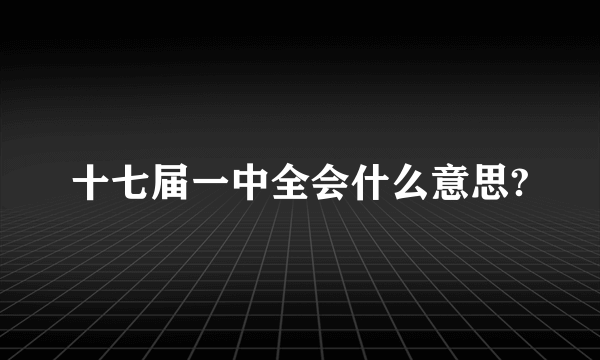 十七届一中全会什么意思?