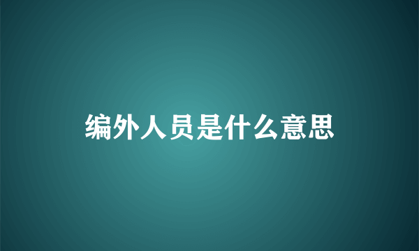 编外人员是什么意思