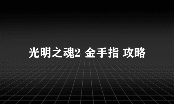 光明之魂2 金手指 攻略