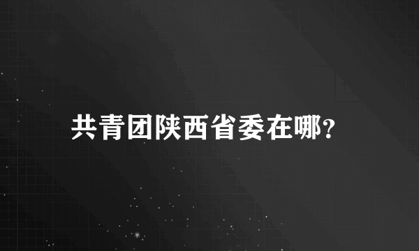 共青团陕西省委在哪？