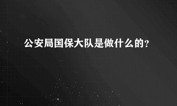 公安局国保大队是做什么的？