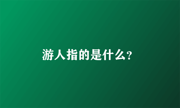 游人指的是什么？