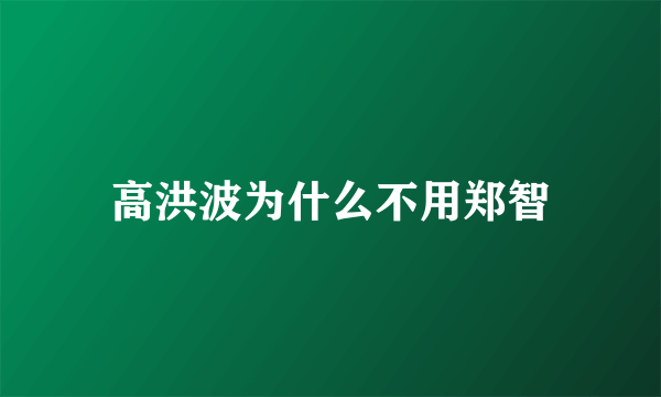 高洪波为什么不用郑智