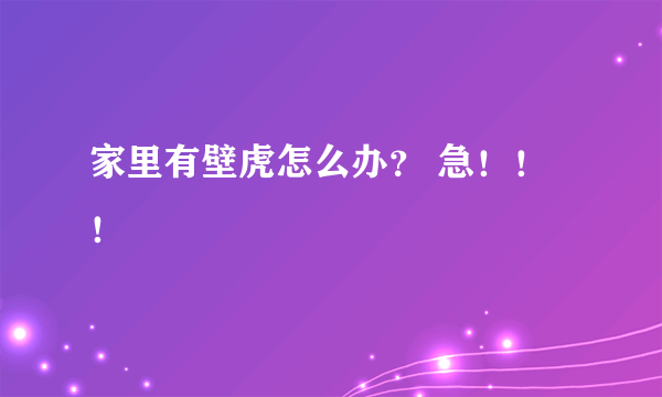 家里有壁虎怎么办？ 急！！！