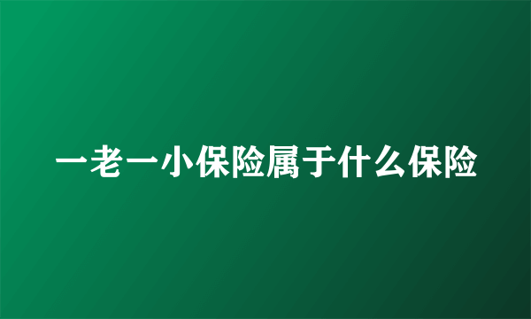 一老一小保险属于什么保险