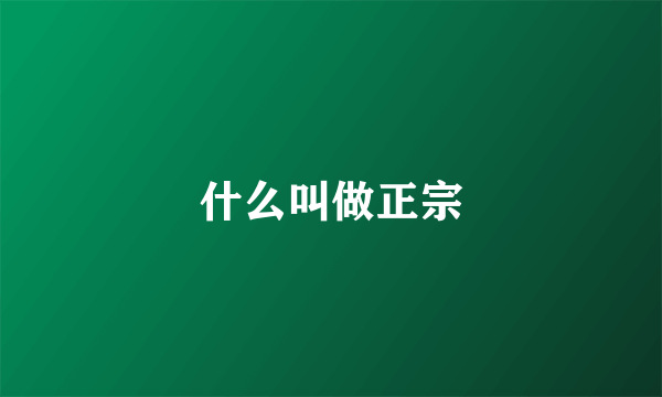 什么叫做正宗