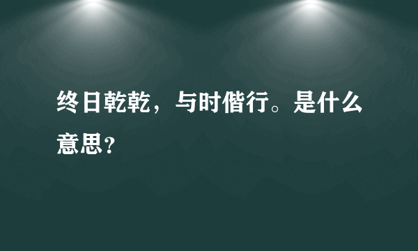 终日乾乾，与时偕行。是什么意思？