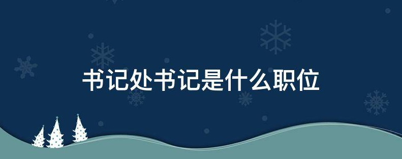 书记处书记是什么职位