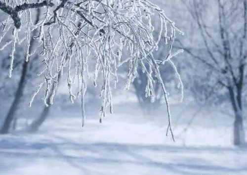 含有雪的诗句100首