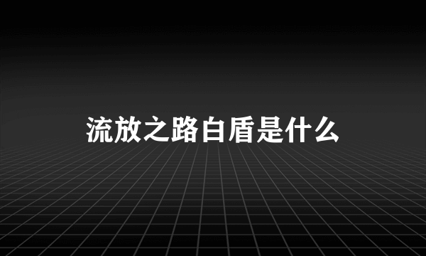 流放之路白盾是什么