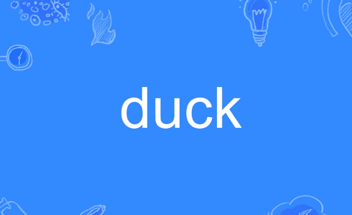 duck是什么意思