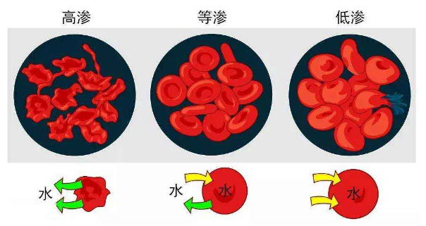 什么是血浆渗透压