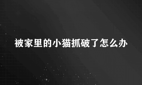 被家里的小猫抓破了怎么办