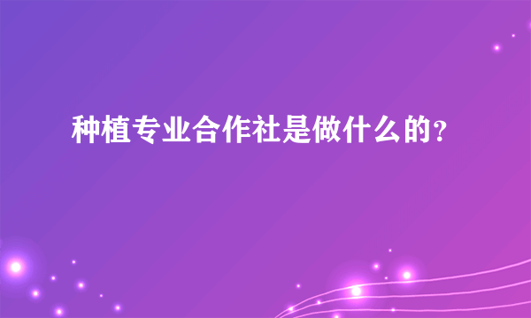 种植专业合作社是做什么的？