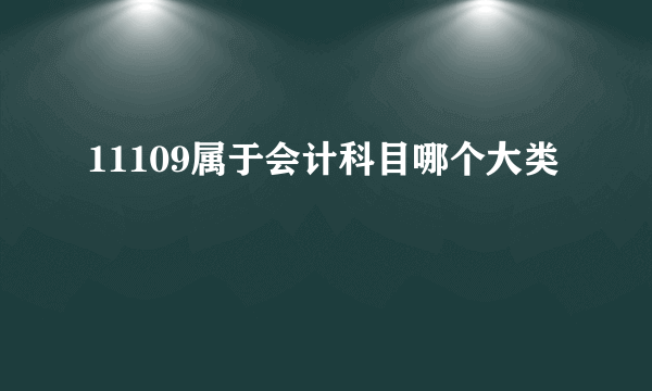 11109属于会计科目哪个大类