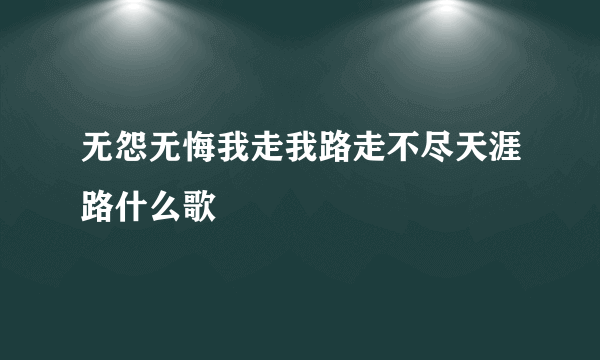 无怨无悔我走我路走不尽天涯路什么歌