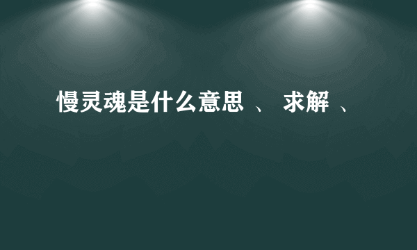 慢灵魂是什么意思 、 求解 、