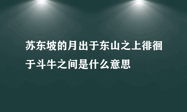 苏东坡的月出于东山之上徘徊于斗牛之间是什么意思