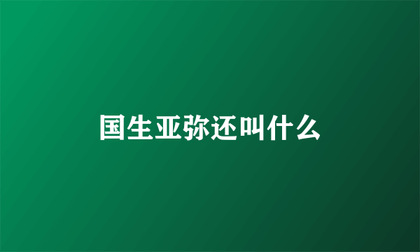 国生亚弥还叫什么