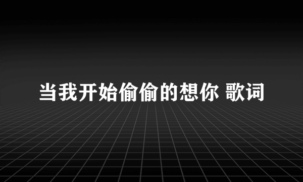 当我开始偷偷的想你 歌词