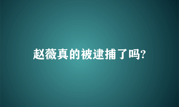 赵薇真的被逮捕了吗?