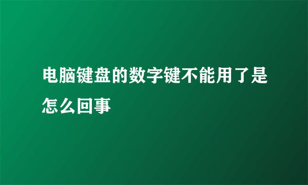 电脑键盘的数字键不能用了是怎么回事