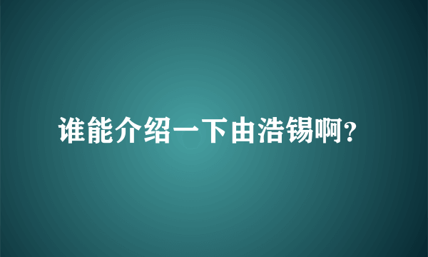 谁能介绍一下由浩锡啊？