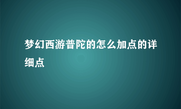 梦幻西游普陀的怎么加点的详细点