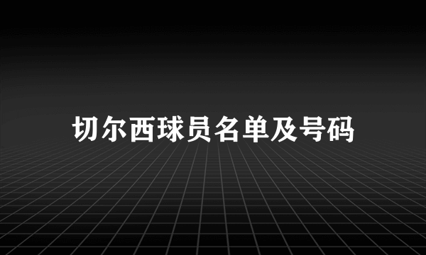 切尔西球员名单及号码