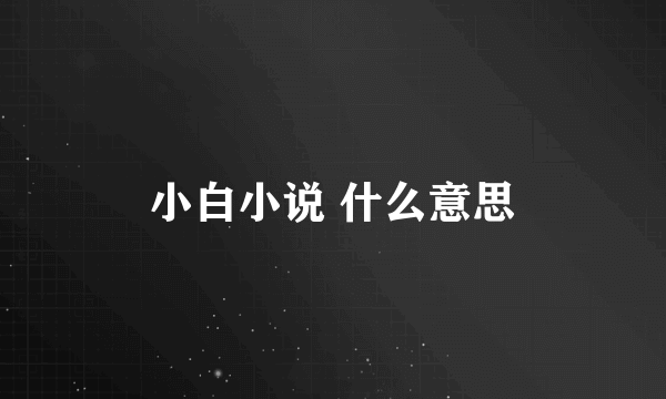 小白小说 什么意思