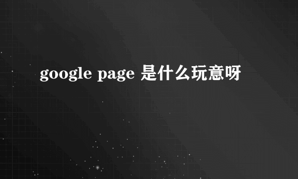 google page 是什么玩意呀