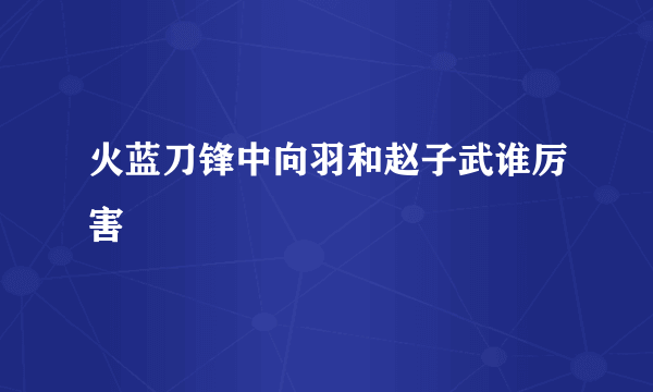 火蓝刀锋中向羽和赵子武谁厉害