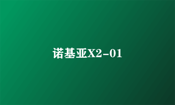 诺基亚X2-01