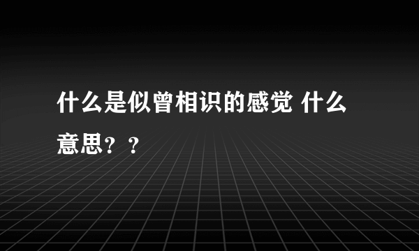 什么是似曾相识的感觉 什么意思？？