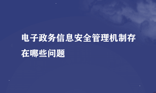 电子政务信息安全管理机制存在哪些问题