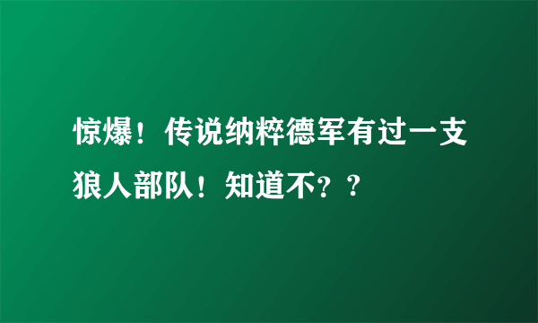 惊爆！传说纳粹德军有过一支狼人部队！知道不？?