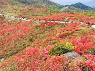 石城旅游必去十大景点