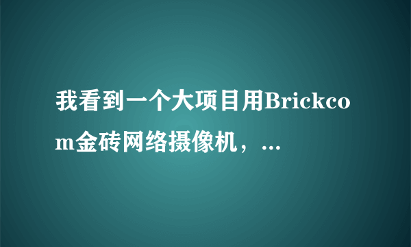 我看到一个大项目用Brickcom金砖网络摄像机，这品牌怎样？