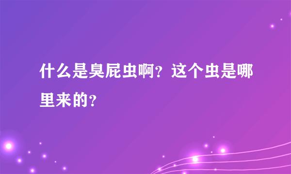 什么是臭屁虫啊？这个虫是哪里来的？