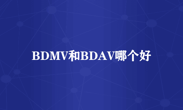 BDMV和BDAV哪个好