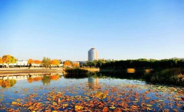 宁夏大学怎么样