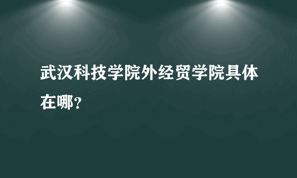 武汉科技学院外经贸学院具体在哪？